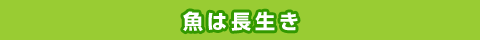 魚は長生き