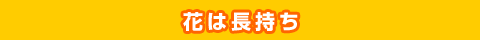 花は長持ち